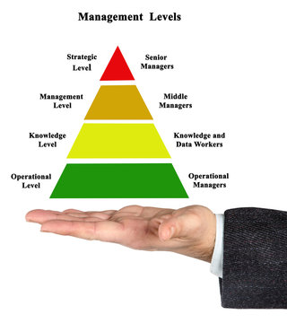 Diagram Of Management