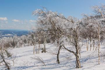 Beautiful winter landscape.