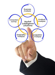 Diagram of Market Intelligence Solutions