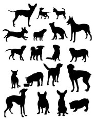 Dog Pet Silhouettes, art vector design