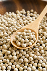 ホワイトペッパー