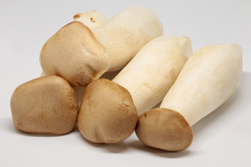Eringi mushrooms on white