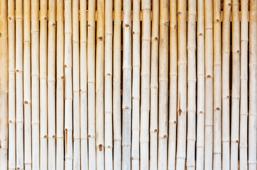 Old bamboo wall texture background