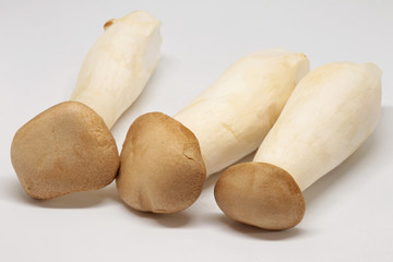 Eringi mushrooms on white