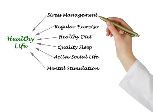 Diagram of Healthy Life