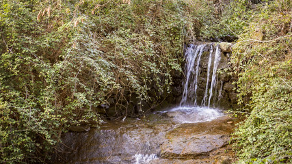 Obraz premium Cascade of a mountain stream in the vegetation.
