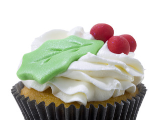 cupcake with leaf and cherries