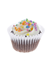chocolate cupcakes with icing and sprinkle