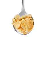 cereal in spoon with milk