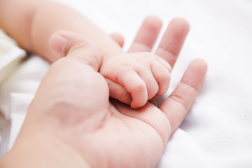 Obraz na płótnie Canvas hands of father holding baby hand 