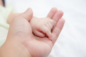 hands of father holding baby hand 