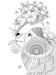 Fototapeta premium bear adult coloring page