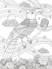 toucan adult coloring page
