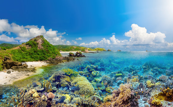 Fototapeta Coral reef on background tropical island