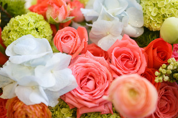 Abstract background of roses.