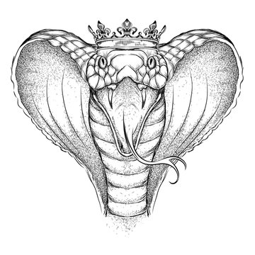 Viper Drawing Images &#8211; Browse 26,879 Stock Photos, Vectors, and ...