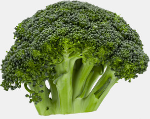 fresh green broccoli