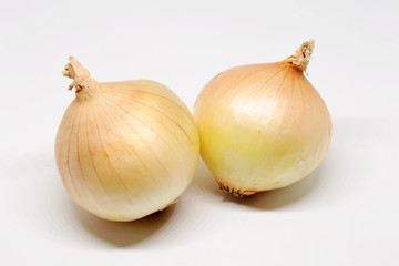 Fototapeta premium cut onion on white