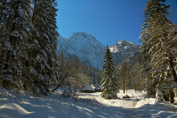 Tatry Zimą Widok Dolina Strążyska Zakopane © pati112a