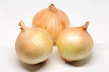 cut onion on white
