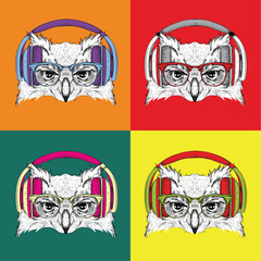 Image Portrait of owl in a baseball cap with glasses. Pop art style vector illustration.