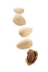 a group of almond nuts
