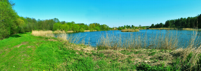 Panoramic image of a forest lake in the spring