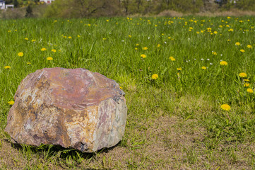 Boulder lies on a glade.