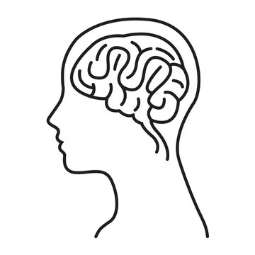 Women Brain Head Illustration / Women Brain Head Outline Draw Illustration