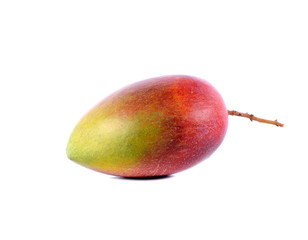 mangoes on white background