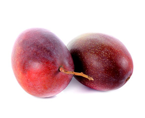 mangoes on white background