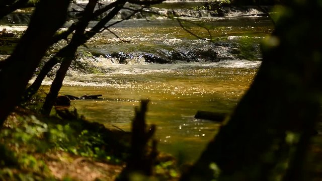 male wodospady na rzece pomiędzy drzewami w dziennym śłońcu