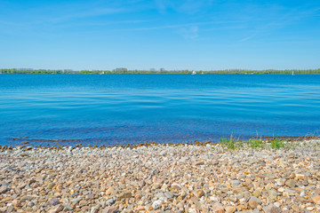 Shore of a lake in spring