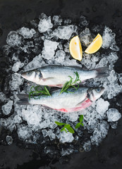 Raw seabass with lemon and rosemary on chipped ice over dark stone backdrop