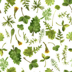 Seamless pattern with watercolor drawing herbs and leaves