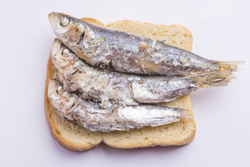fried sardines on the plate