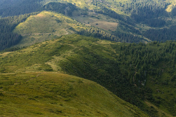 Obraz premium summer landscape of Marmarosy mountains range of Carpathian mountains on the Ukraine and Romania border