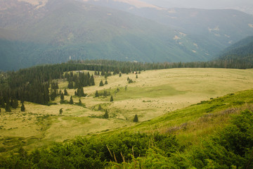 Obraz premium summer landscape of Marmarosy mountains range of Carpathian mountains on the Ukraine and Romania border