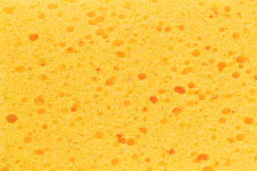 yellow sponge with porous texture background