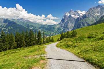 Beautiful idyllic Alps landscape and trail, mountains in summer, Switzerland
