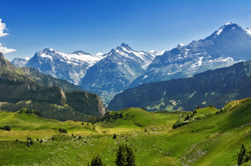 Beautiful idyllic Alps landscape with mountains in summer, Switzerland   © Iuliia Sokolovska