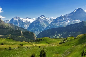 Fotobehang Mooi idyllisch Alpenlandschap met bergen in de zomer, Zwitserland © Iuliia Sokolovska