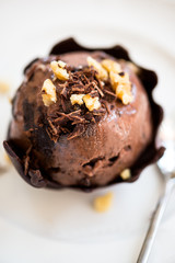 Chocolate Ice Cream Scoop is laying on Chocolate Homemade Bow