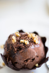 Chocolate Ice Cream Scoop is laying on Chocolate Homemade Bow