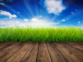 spring season with wooden footpath and green grass on blue sky background