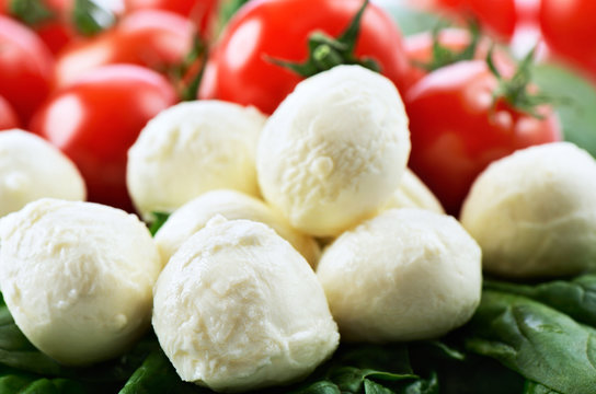 mozzarella cheese balls, ripe cherry tomatoes and greens close-u