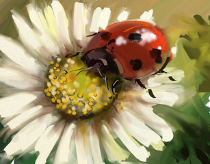 Ladybug on camomile. Digital painting. - 109859913