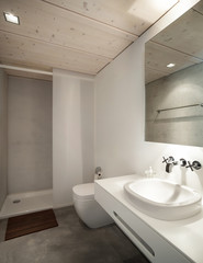 Fototapeta na wymiar modern bathroom with shower