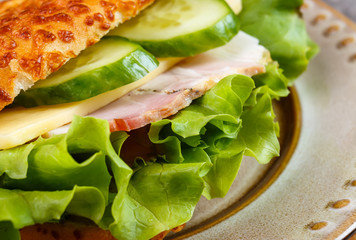 Tasty ham sandwich with salad leaf, cheese and cucumber sauce in a cheese bread, homemade on breakfast.