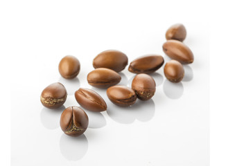 Argan Seeds